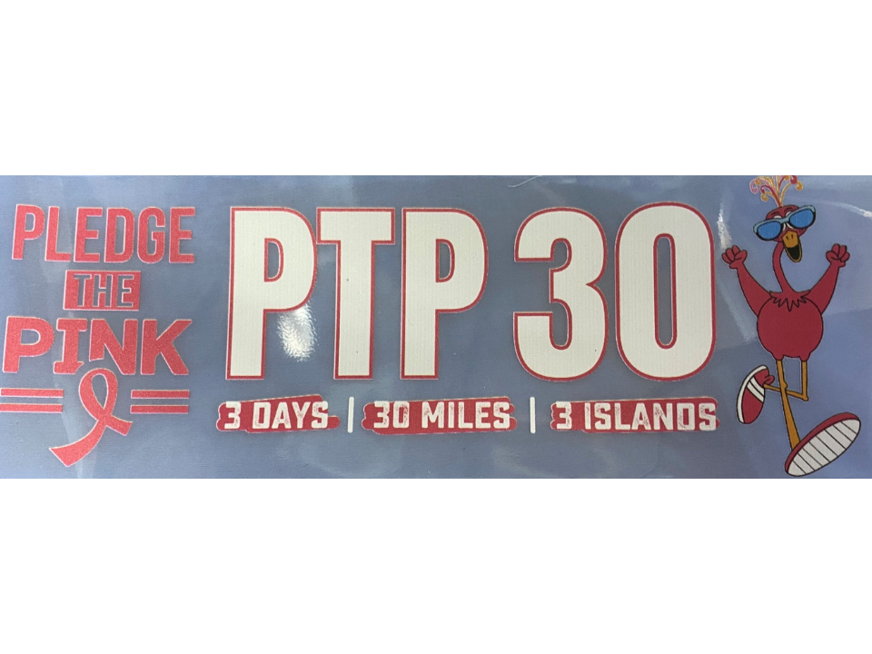 Pledge the Pink Car Decal